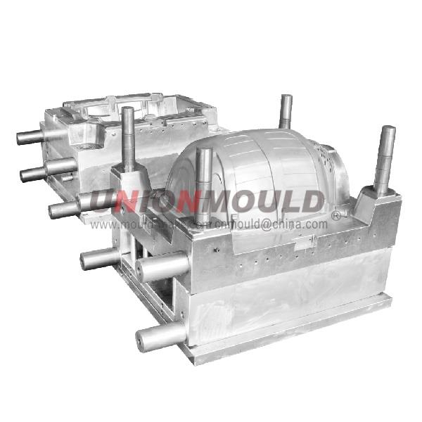 Pet-Mould-1